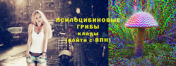 спиды Алексин