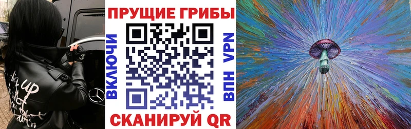 Галлюциногенные грибы Psilocybe  Пласт 